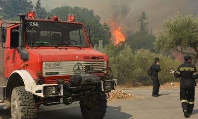 Υψηλός ο κίνδυνος πυρκαγιάς για σήμερα σε Μεσσηνία και Λακωνία