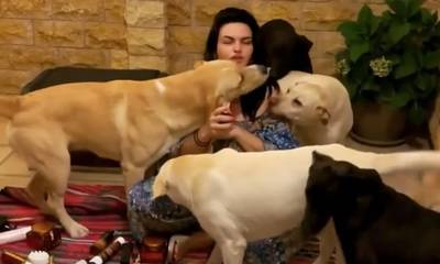 Κατσαφάδου: Αγαπάει σαν παιδιά τα σκυλιά της – Δείτε την να ταΐζει τους 22 τετράποδους φίλους της