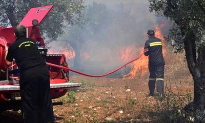 Τρίπολη: Φωτιά στην περιοχή Τσελεπάκου