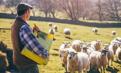 Ανοίγει η πλατφόρμα των δηλώσεων για την πληρωμή έκτακτης ενίσχυσης 89 εκατ. ευρώ σε κτηνοτρόφους