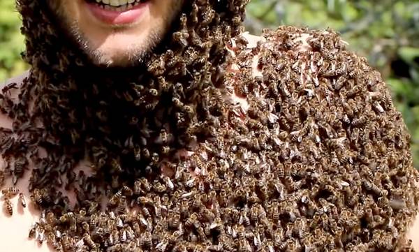 «Ορεινή Μέλισσα»: Όταν «ντύθηκα» με κουστούμι από 5.000 μέλισσες! (video)