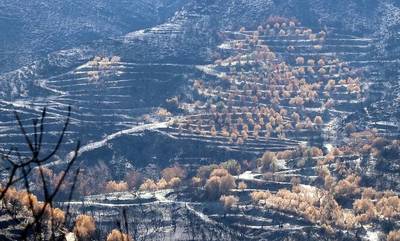 Πυρόπληκτοι Μάνης, Αθήνας: Τραγικό φιάσκο οι αποζημιώσεις σε πυρόπληκτους μη κατ’ επάγγελμα αγρότες!