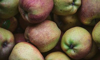 Αποζημιώσεις de minimis για τους παραγωγούς μήλου της Αρκαδίας
