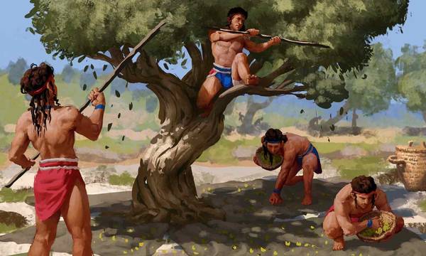 Έρευνα: Ένα γενεαλογικό δέντρο στην Αχαΐα το 1500 π.Χ.