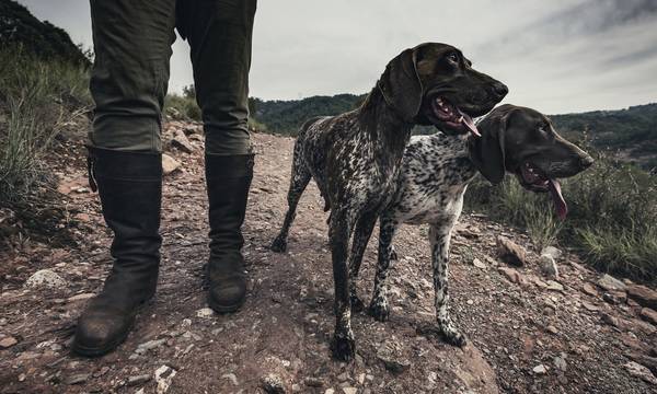 Συνελήφθη απατεώνας που «πουλούσε» κυνηγόσκυλα στην Πάτρα: Η παγίδα που του έστησαν οι αστυνομικοί