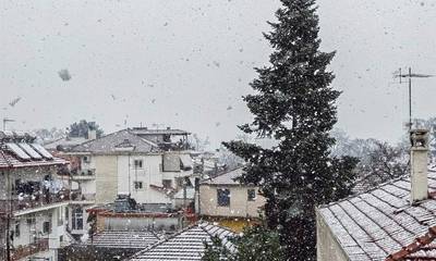 Επεσαν τα πρώτα χιόνια στην Τρίπολη (photos - video)