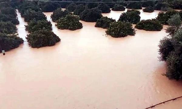 Λακωνία: Ποιες επιχειρήσεις αποζημιώνονται από τις πλημμύρες στον Δήμο Ευρώτα – Όροι και προθεσμίες