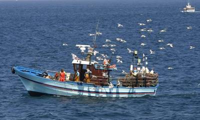 ΔΑΟΚ: Αιτήσεις αποζημίωσης φορέων εκμετάλλευσης του τομέα αλιείας και υδατοκαλλιέργειας
