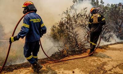 Λακωνία: Χωρίς ενεργό μέτωπο η φωτιά στη Στεφανιά