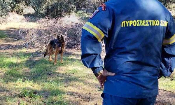 Αχαΐα: Σκύλος της ΕΜΑΚ εντόπισε σώα την 88χρονη αγνοούμενη