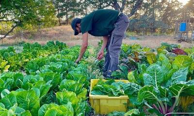 Νέοι Αγρότες: Στους 1.468 οι δικαιούχοι στην Περιφέρεια Πελοποννήσου