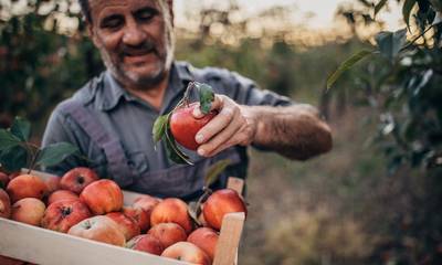 Αχαΐα: Ενίσχυση της καλλιέργειας μήλων των ορεινών περιοχών των Δήμων Αιγιάλειας και Καλαβρύτων