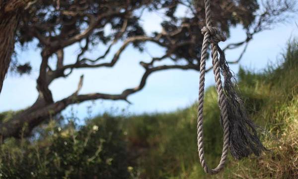 Αχαΐα: Απαγχονισμένος σε δέντρο βρέθηκε ηλικιωμένος στο Ίσωμα
