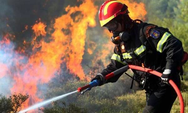 Φούντωσαν πυρκαγιές από τον δυνατό αέρα σε Λακωνία και Μεσσηνία!