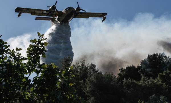 Κορινθία: Πυρκαγιά σε δασική έκταση στο Δερβένι – Πνέουν ισχυροί άνεμοι
