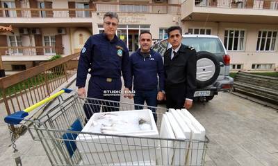 Αργολίδα: 50 κιλά ψάρια παρέδωσε το Λιμενικό Τμήμα Επιδαύρου στο Γηροκομείο Ναυπλίου