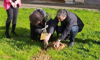 ΤΟΔΑ Σπάρτης: Οι γονείς φύτεψαν μια ελιά εις μνήμην του αδικοχαμένου φοιτητή στα Τέμπη! (photos)