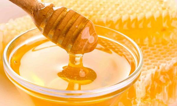 Στάζουν… μέλι, Πάρνωνας και Ταΰγετος: Πού σκαρφάλωσε η τιμή του βιολογικού μελιού, στη Λακωνία;