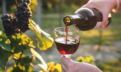 Στην υγειά της Ελλάδας πίνουν στην Ευρώπη - Ρεκόρ εξαγωγών στο κρασί