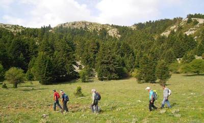 Τον «πάει» τον Πάρνωνα ο Ελληνικός Ορειβατικός Σύλλογος Σπάρτης! (photos)