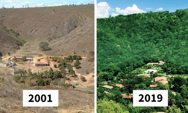 Ζευγάρι φύτεψε 2 εκατομμύρια δέντρα σε 20 χρόνια