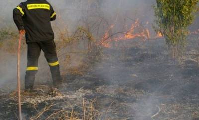 Άργος: Φωτιά στην περιοχή της Αγίας Άννας στο Τημένιο