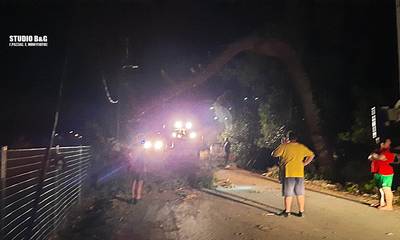 Ναύπλιο: Πτώση μεγάλου δέντρου στην Πλάκα Δρεπάνου προκάλεσε φωτιά και έκλεισε δρόμο