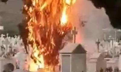 Αργολίδα: Κεραυνός χτύπησε κυπαρίσσι στο κοιμητήριο του Δρεπάνου (video)