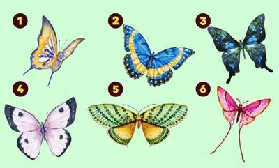 Ψυχολογικό τεστ: Ποια πεταλούδα διαλέγεις; Αυτό αποκαλύπτει τα καλύτερα στοιχεία του χαρακτήρα σου