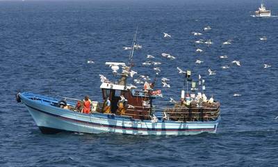 Μάνη: Εκπαιδευτικό Βιωματικό Σεμινάριο για την Αλιεία και τον τουρισμό, στο Γύθειο