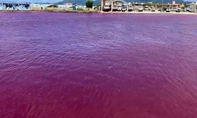 Η θάλασσα βάφεται κόκκινη σε Γιαπωνέζικο λιμάνι