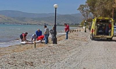Κρήτη: Πέθανε μετά το μπάνιο σε παραλία Γερμανίδα τουρίστρια
