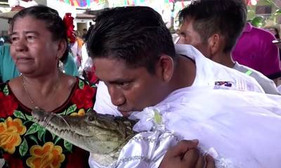 Γαμπρός ένας δήμαρχος στο Μεξικό και νύφη.... ένας αλιγάτορας