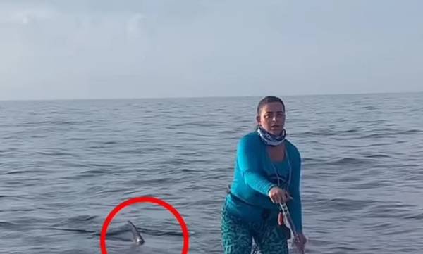ΗΠΑ: Έκανε SUP και δίπλα της κολυμπούσε καρχαρίας- «Ένιωσα χτυπήματα στη σανίδα»