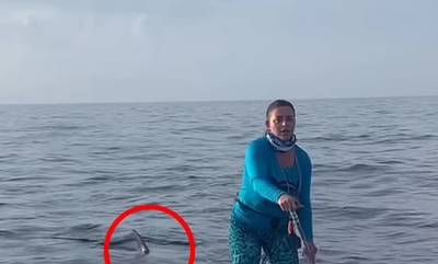 ΗΠΑ: Έκανε SUP και δίπλα της κολυμπούσε καρχαρίας- «Ένιωσα χτυπήματα στη σανίδα»