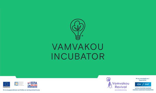 Παράταση διακήρυξης αναζήτησης εργολάβου για τεχνικό έργο θερμοκοιτίδας Vamvakou Incubator