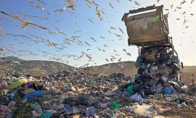 Σκουπίδια και διαλογή στην πηγή, στον δήμο Ευρώτα