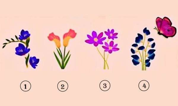 Τεστ προσωπικότητας: Ποιο λουλούδι πιστεύεις ότι θα διαλέξει η πεταλούδα;