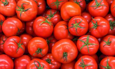 Σε ποια χώρα οι τιμές της ντομάτας αυξήθηκαν 700%