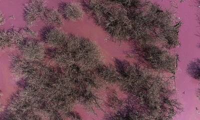 Το φαινόμενο της «ροζ Λίμνης» εμφανίστηκε στην Ρουμανία