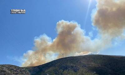 Αργολίδα: Πυρκαγιά σε αγροτοδασική έκταση στο Μετόχι Επιδαύρου