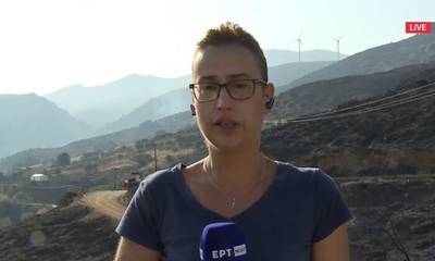 Πτώση καναντέρ στην Κάρυστο: «Λύγισε» η δημοσιογράφος της ΕΡΤ - «Δεν πιστεύαμε αυτό που βλέπαμε»