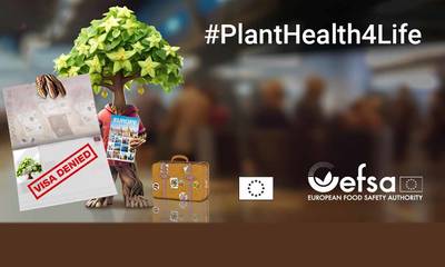 Εκστρατεία ευαισθητοποίησης του κοινού για την υγεία των φυτών