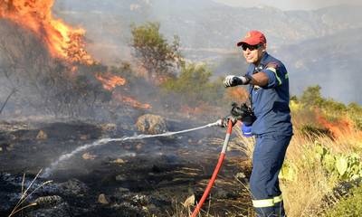 Λακωνία: Υπό μερικό έλεγχο η πυρκαγιά στη Μάνη