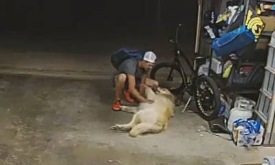 Η πιο «γλυκιά» ληστεία: Έπαιξε με τον σκύλο οικογένειας πριν κλέψει ποδήλατο
