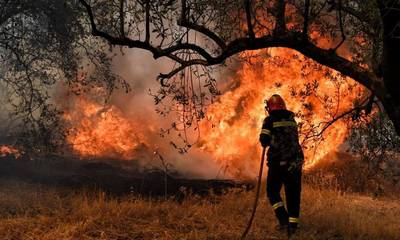 Φωτιά σε γεωργική έκταση στη Μάδενα Μεσσήνης