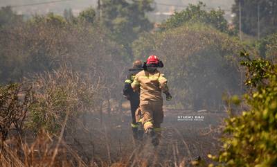 Αργολίδα: Φωτιά σε αγροτική έκταση στην Νέα Τίρυνθα (photos)