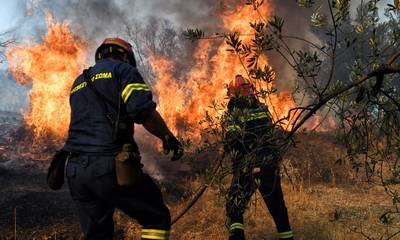 Άργος: Φωτιά στην περιοχή Κόκλα