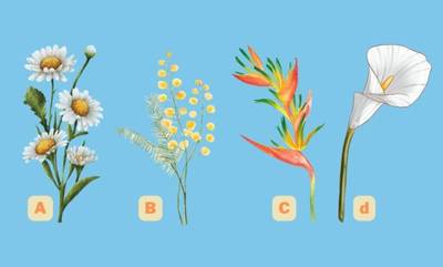 Ψυχολογικό τεστ: Ποιο λουλούδι διαλέγεις; Δες τι αποκαλύπτει για σένα