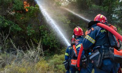 Ταΰγετος: Πυρκαγιά από κεραυνό στο δάσος της Βασιλικής